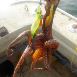 タコ第2戦〜盛和丸〜