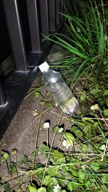 大雨数日後のウナギ釣り