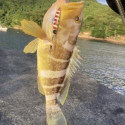 二刀流