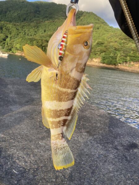 二刀流