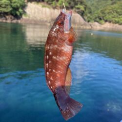 二刀流