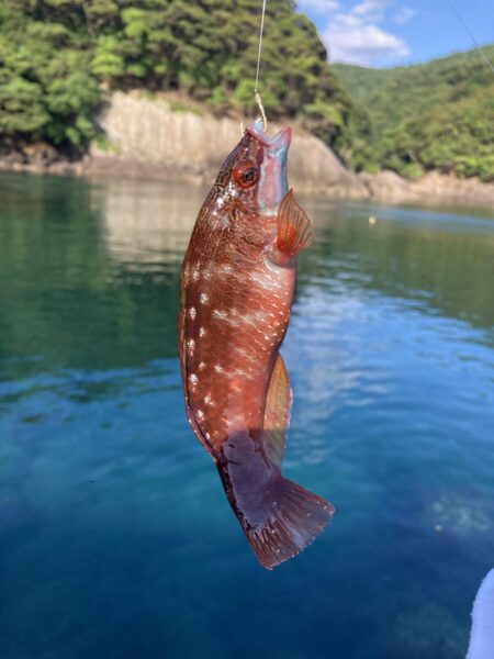 二刀流