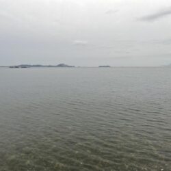 ひさびさのサイズ