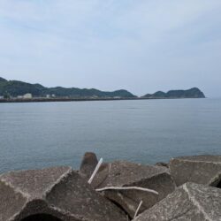 キス釣りが面白い