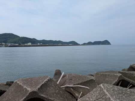 キス釣りが面白い