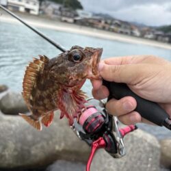 朝マズメ、イカ、アジ狙い