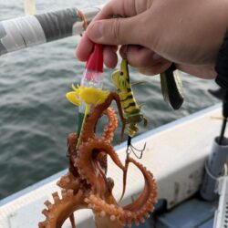 反省だらけのタコ釣り