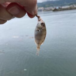 淡路島釣行