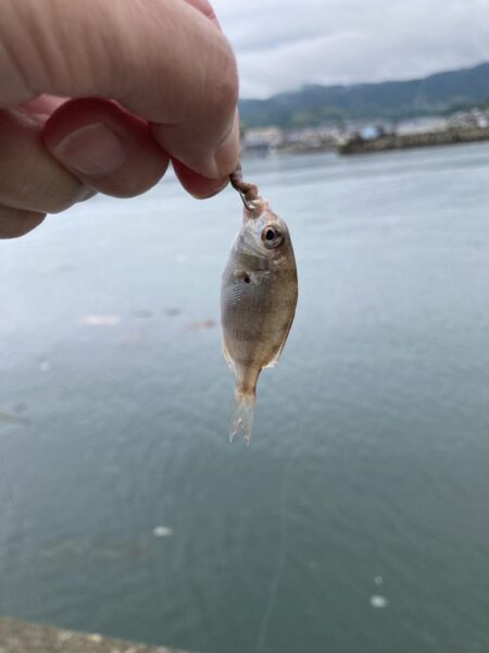 淡路島釣行