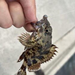 ロック