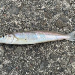 投げ釣り