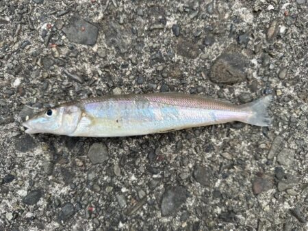 投げ釣り
