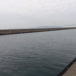 コブダイ釣り