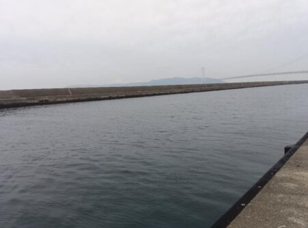 コブダイ釣り