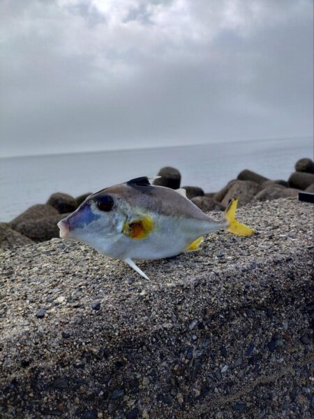 三重釣行1