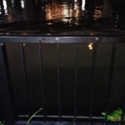 台風後のウナギ釣り