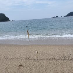 キス釣り