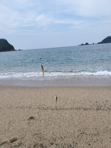キス釣り