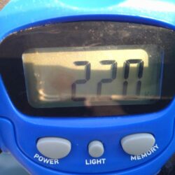 久しぶりの2キロオーバー