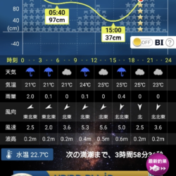 アコウ釣れました
