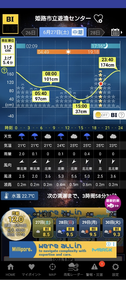 アコウ釣れました