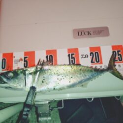 大サバ狙い🎣