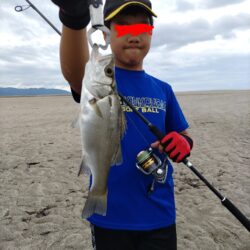 ヒラスズキ釣れました!