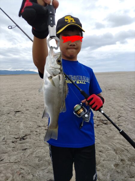 ヒラスズキ釣れました!