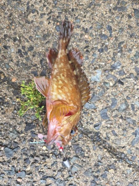 雨上がりの一撃