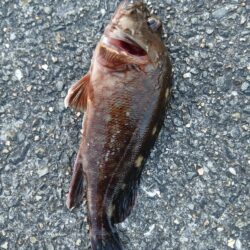 大荒れの釣行