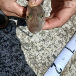 強風、高波、ちょい投げ