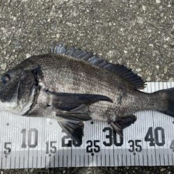 イチノ兄弟、釣果！