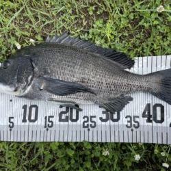 イチノ兄弟、釣果！