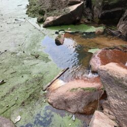 高山ダムにて大物釣り！