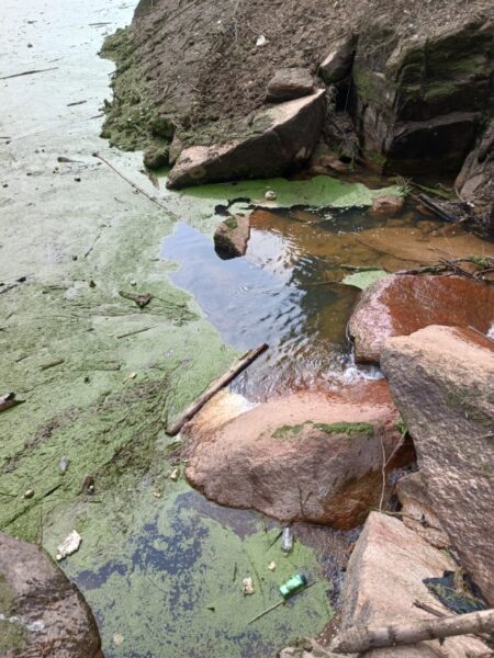 高山ダムにて大物釣り！