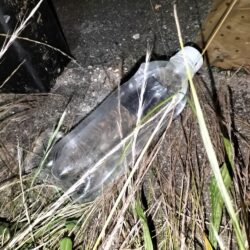 大雨数日後のウナギ釣り