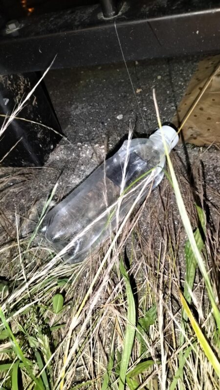 大雨数日後のウナギ釣り