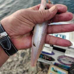 14時から播磨釣査