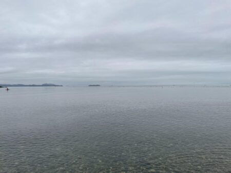 タコさん釣れました