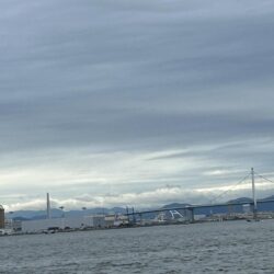 タコ釣り