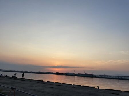 凝りもせずタコ