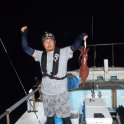 玄界灘のイカ状況