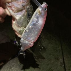 ビッグベイトで60cm