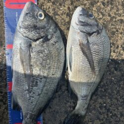 穴水町フカセ釣り
