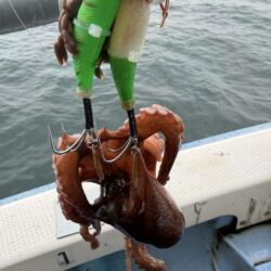 反省だらけのタコ釣り
