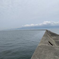 沖堤防釣行