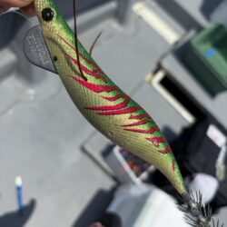 ティップランエギング