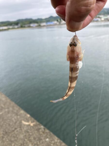 淡路島釣行