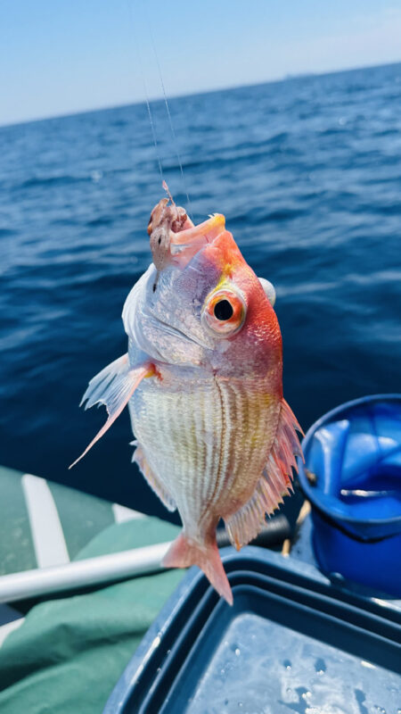 マイボートでアマダイ釣行
