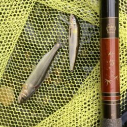 昭和レトロな渓流竿でアユイング🎣